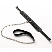 Черный ошейник с шипами и поводком - Crazy Handmade - купить с доставкой в Камышине