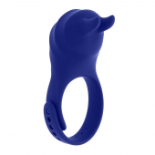 Синее эрекционное виброкольцо с клиторальной подушечкой и пультом ДУ Adjustable Fun Ring - Zero Tolerance - в Камышине купить с доставкой
