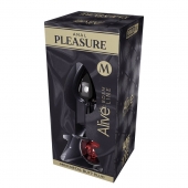 Серебристая анальная втулка Mini Metal Butt Plug Size M с красным кристаллом - Adrien Lastic