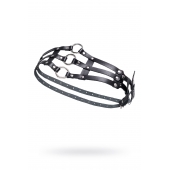 Черный кожаный пояс с кольцами - Pecado - купить с доставкой в Камышине