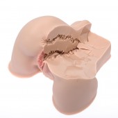 Мастурбатор-полуторс Naked Factory Kate - Naked Factory - в Камышине купить с доставкой