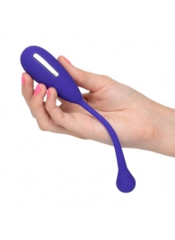 Фиолетовый шарик с электростимуляцией и вибрацией Intimate E-Stimulator Remote Kegel Exerciser - California Exotic Novelties - купить с доставкой в Камышине