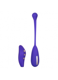 Фиолетовый шарик с электростимуляцией и вибрацией Intimate E-Stimulator Remote Kegel Exerciser - California Exotic Novelties - купить с доставкой в Камышине