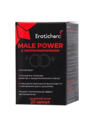 Капсулы для мужчин Erotichard male power с пантогематогеном - 20 капсул (0,370 гр.) - Erotic Hard - купить с доставкой в Камышине