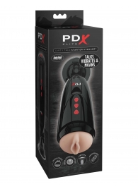 Мастурбатор-вагина с вибрацией Dirty Talk Starter Stroker - Pipedream - в Камышине купить с доставкой