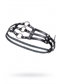 Черный кожаный пояс с кольцами - Pecado - купить с доставкой в Камышине