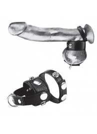 Утяжка для мошонки и пениса Cock Ring With 1  Ball Stretcher And Optional Weight Ring - BlueLine - купить с доставкой в Камышине