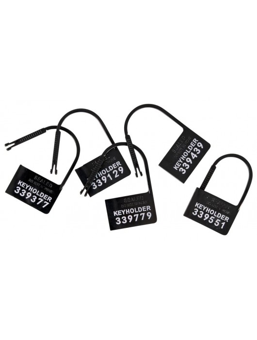 Набор для мужского пояса верности Cock Cage Set - Orion - купить с доставкой в Камышине