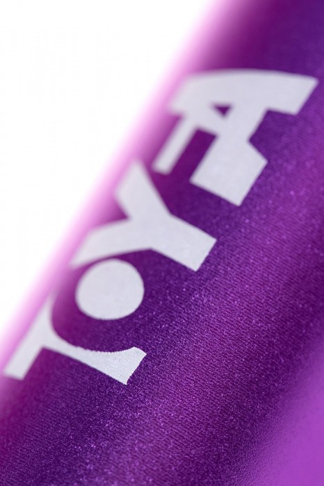 Портативное зарядное устройство A-toys 2400 mAh microUSB - A-toys - купить с доставкой в Камышине