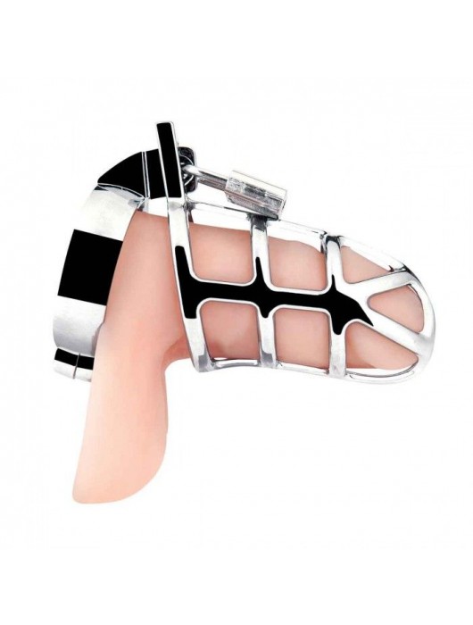 Серебристая металлическая клетка для члена с замком Enslave Cock Cage - BlueLine - купить с доставкой в Камышине