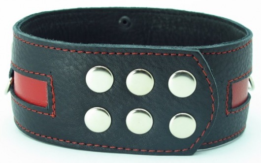 Чёрный кожаный ошейник с красной полосой и кольцами - БДСМ Арсенал - купить с доставкой в Камышине