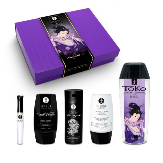 Подарочный набор Naughter Kit - Shunga - купить с доставкой в Камышине