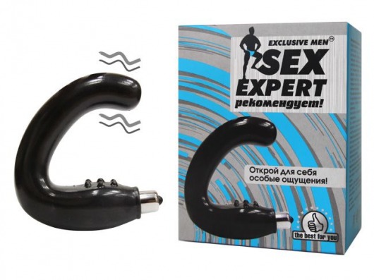 Чёрный массажёр простаты серии Sex Expert - Sex Expert - в Камышине купить с доставкой