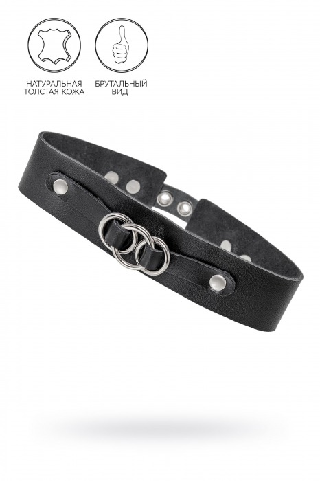 Черный чокер-ошейник со связанными кольцами на подложке - Pecado - купить с доставкой в Камышине