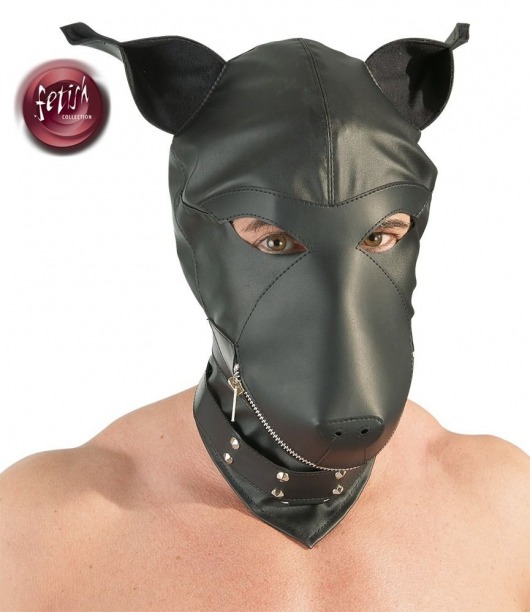 Шлем-маска Dog Mask в виде морды собаки - Orion - купить с доставкой в Камышине