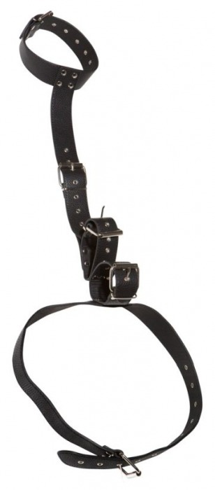Фиксация на шею и запястья Bad Kitty Neck and Hand Restraints - Orion - купить с доставкой в Камышине