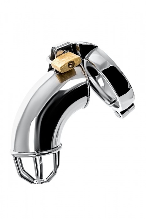 Серебристый мужской пояс верности TOYFA Metal - ToyFa - купить с доставкой в Камышине