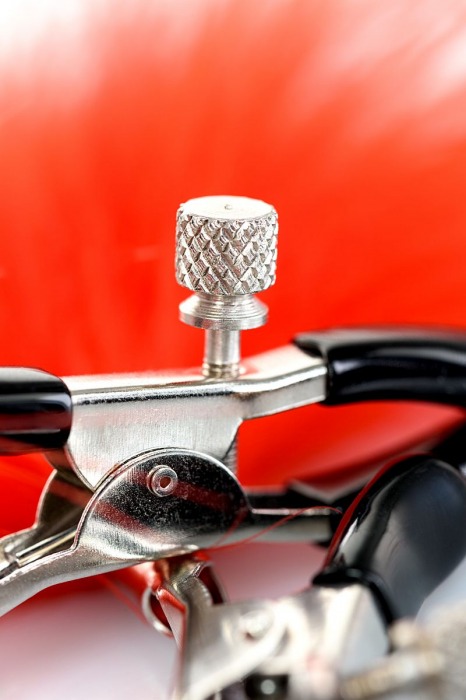 Зажимы для сосков с красным пухом Theatre - ToyFa - купить с доставкой в Камышине