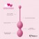 Набор из 3 розовых вагинальных шариков FemmeFit Advanced Pelvic Muscle Training Set - FeelzToys в Камышине Набор из 3 розовых вагинальных шариков FemmeFit Advanced Pelvic Muscle Training Set - FeelzToys